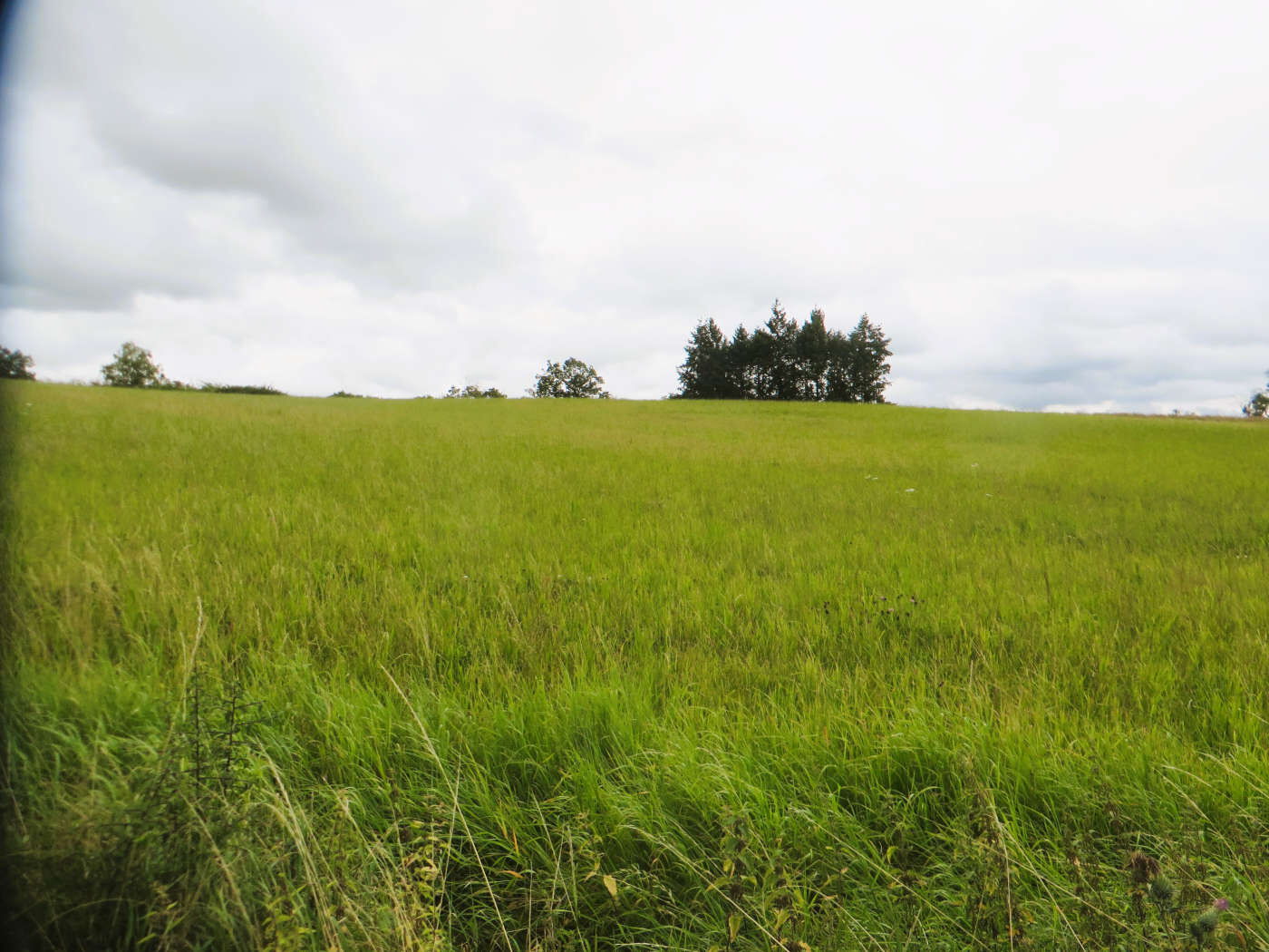 Niedereisenbach.JPG