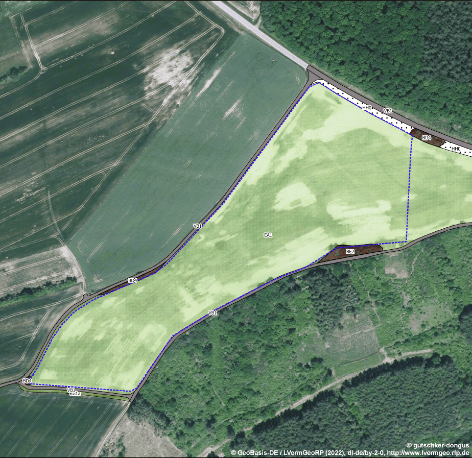 Plankarte mit Feldern und Wiesen, die das Gebiet das Bebaut wird eingenzt