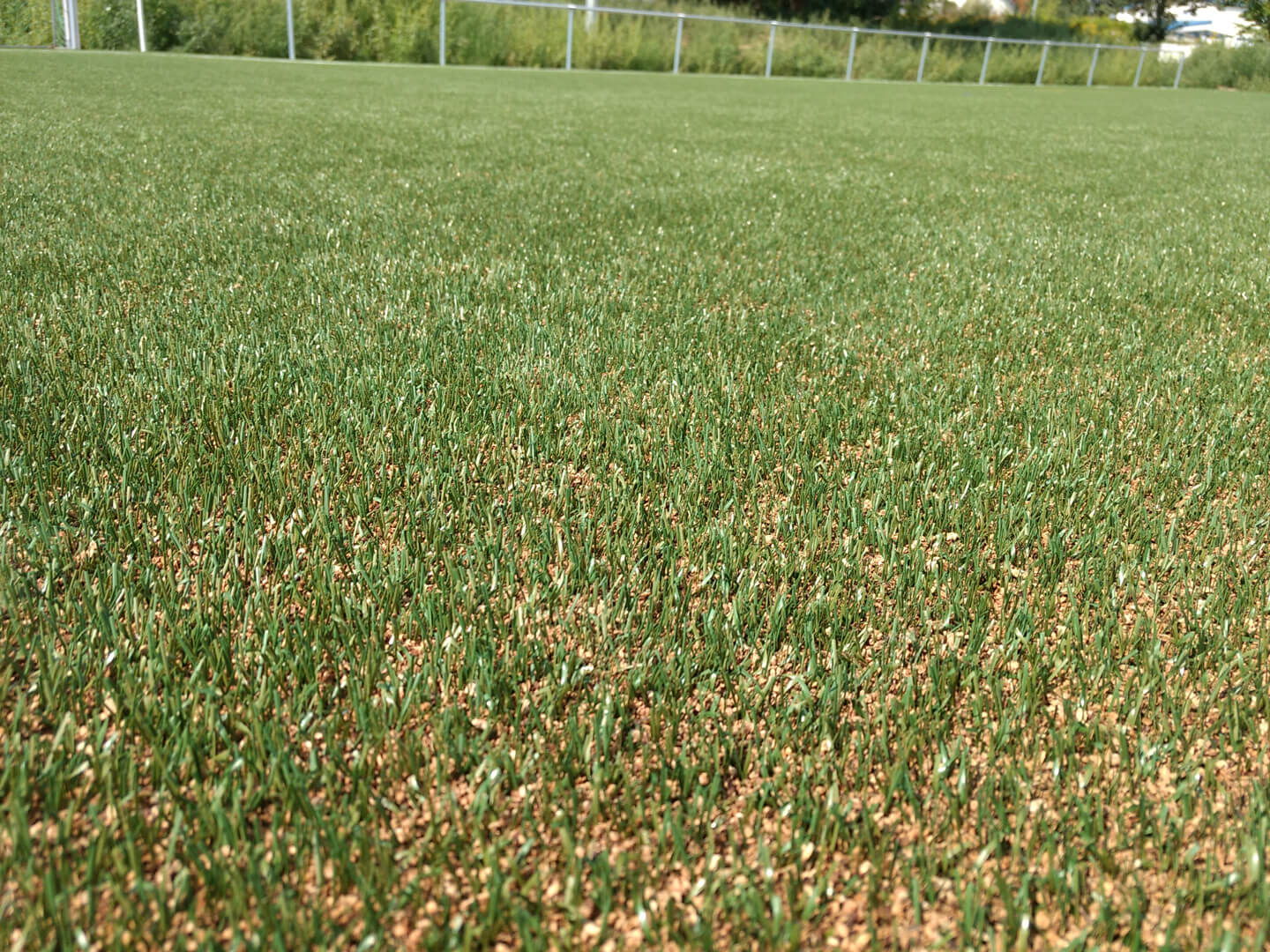 Kunstrasen mit einem Kork-Sand-Gemisch