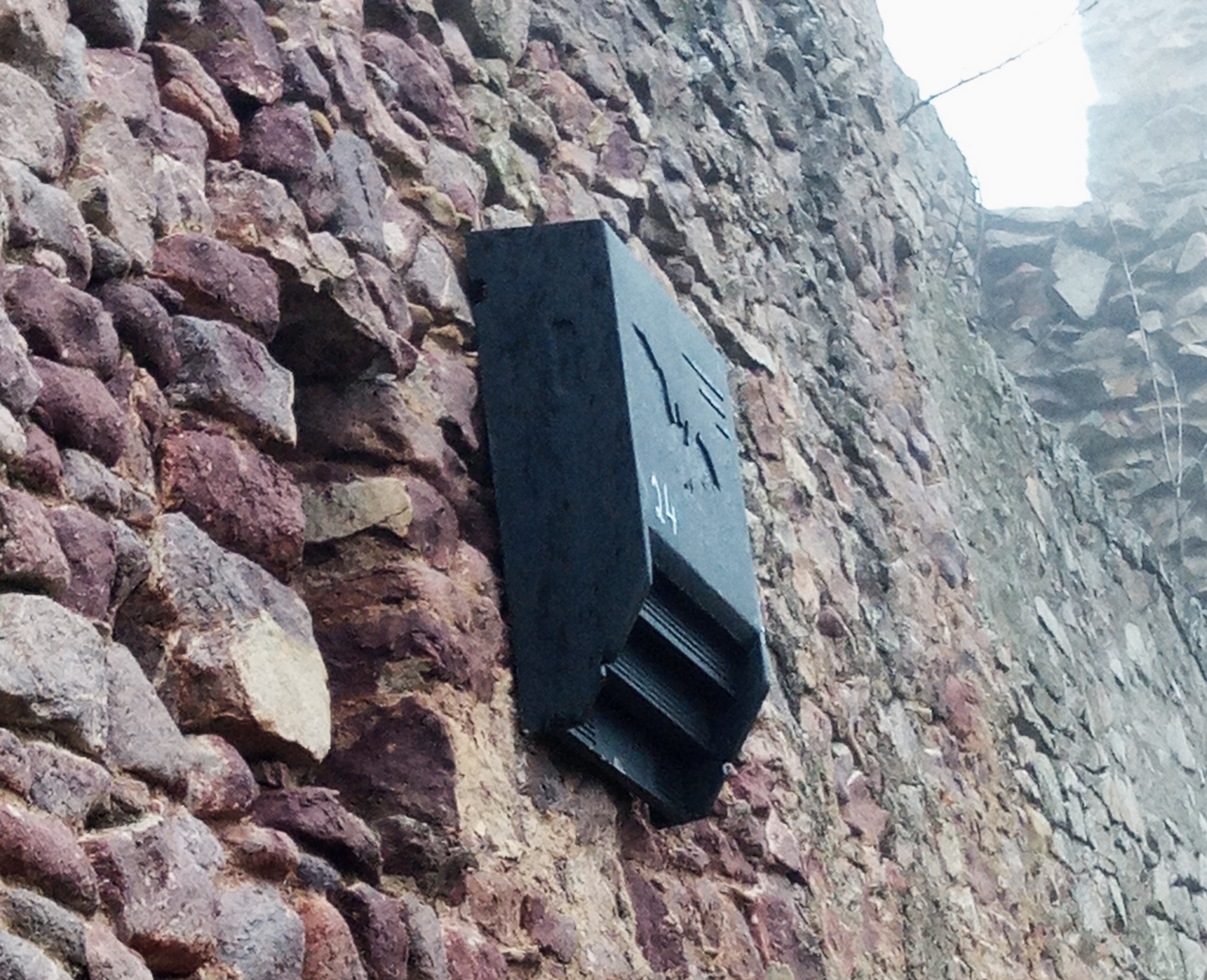 Fledermausquartier Fledermauskasten.png